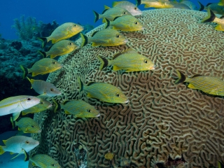 德贝潜水水上运动中心