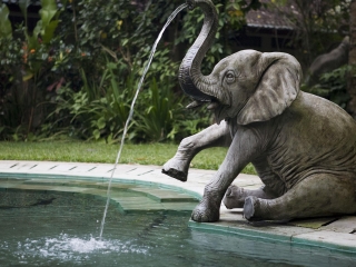 巴厘岛野生动物园