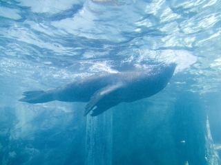 亚龙湾海底世界