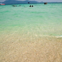 珊瑚岛