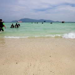 珊瑚岛