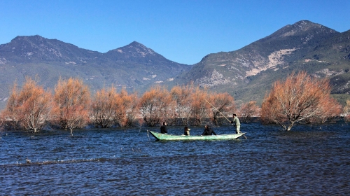 丽江+大理2晚3日游 漫步双古城、体验拉市海骑