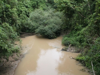 西双版纳野象谷