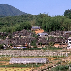 傣族村寨