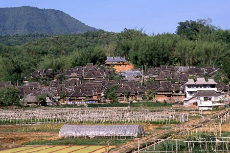 <中国+缅甸+泰国+老挝双飞10日游>乘船赏金三角风光，超值享受四国风貌，和亚洲象一起邂逅原始园林，感受历史文化，品特色美食