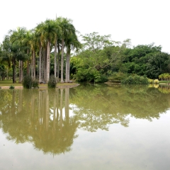 西双版纳原始森林公园