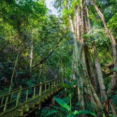 景点模块 