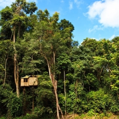 西双版纳野象谷