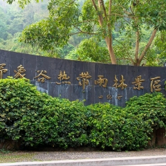 西双版纳野象谷