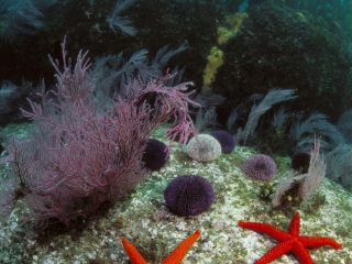 亚龙湾海底世界