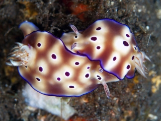 亚龙湾海底世界