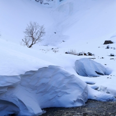长白山北坡