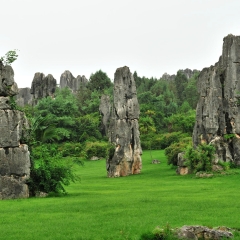 云南石林风景名胜区