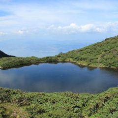 苍山