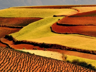 七彩云南文博园