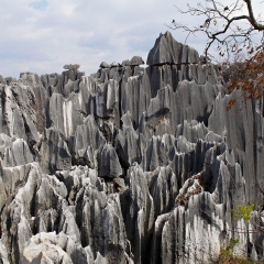 云南石林风景名胜区
