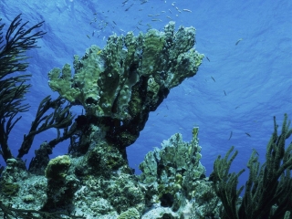 亚龙湾海底世界