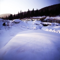 雪乡