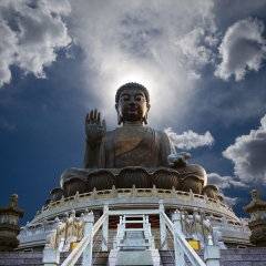 活动模块 