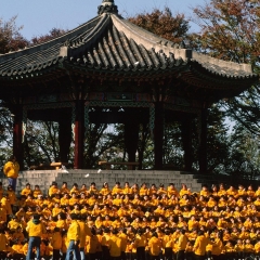 南山公园