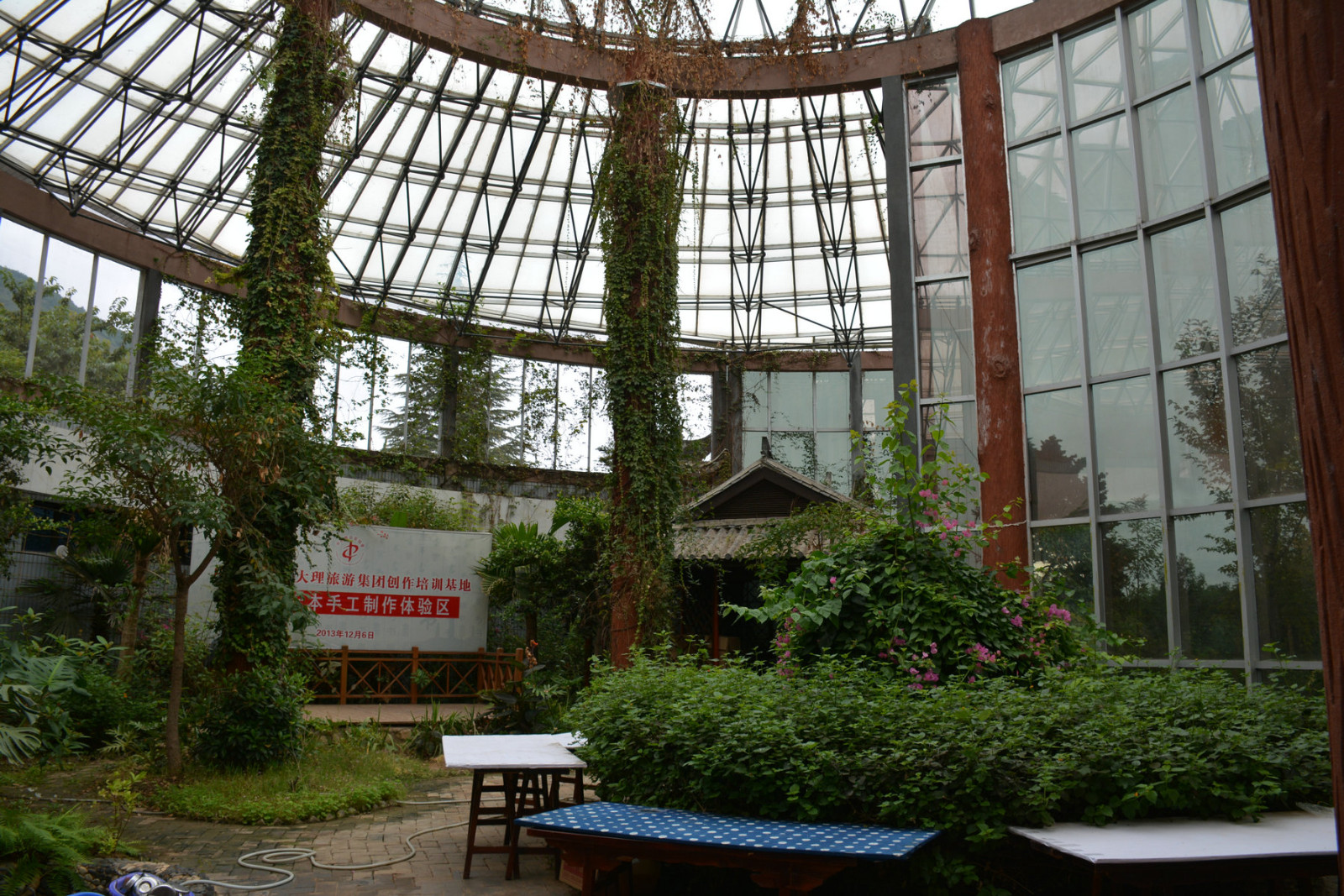 【昆大丽—香格里拉8日游】⑥大理洱海骑行,蝴蝶泉