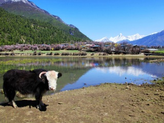 嘎朗国家湿地公园