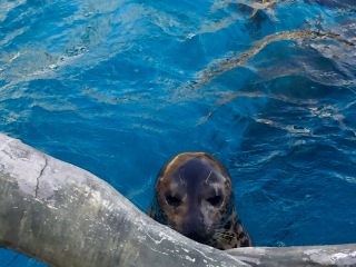 威海神游海洋世界