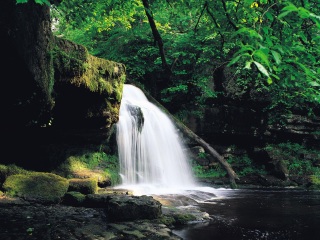 九江庐山碧龙潭