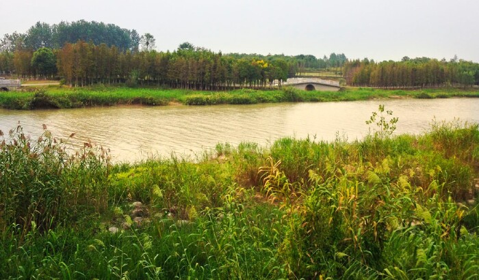 然后乘23路到古淮河生态公园,是由废黄河和古淮河组成的一片湿地公园