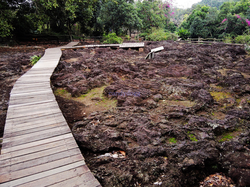 海口火山口地質公園 