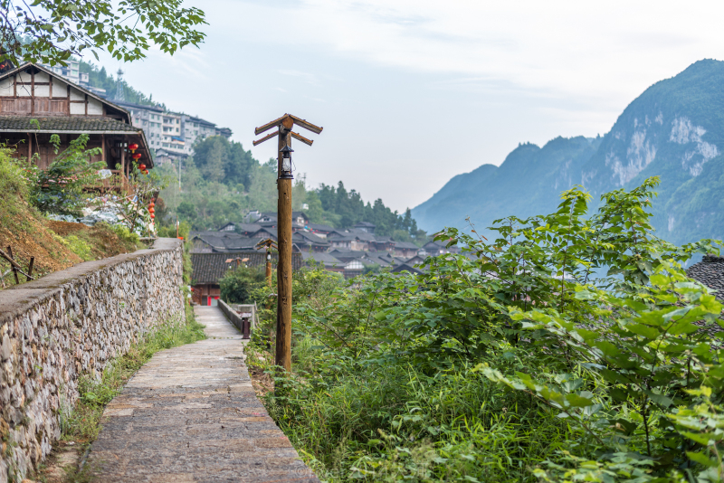 还有古镇上随处可见的三角梅,会一路陪伴着你,也把古镇装扮的更加妩媚