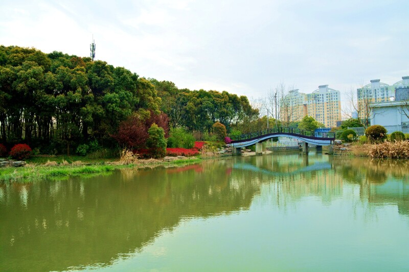 探春去上海黎安公园游湖散步途牛网首发