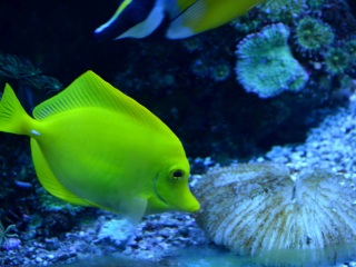 屏东国立海洋生物博物馆