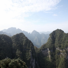 513_张家界_张家界国家森林公园