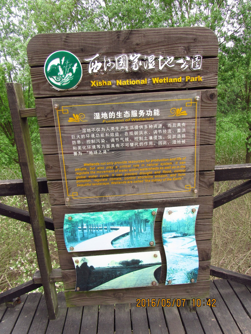 上海崇明島明珠湖西沙溼地東平國家森林公園一日遊