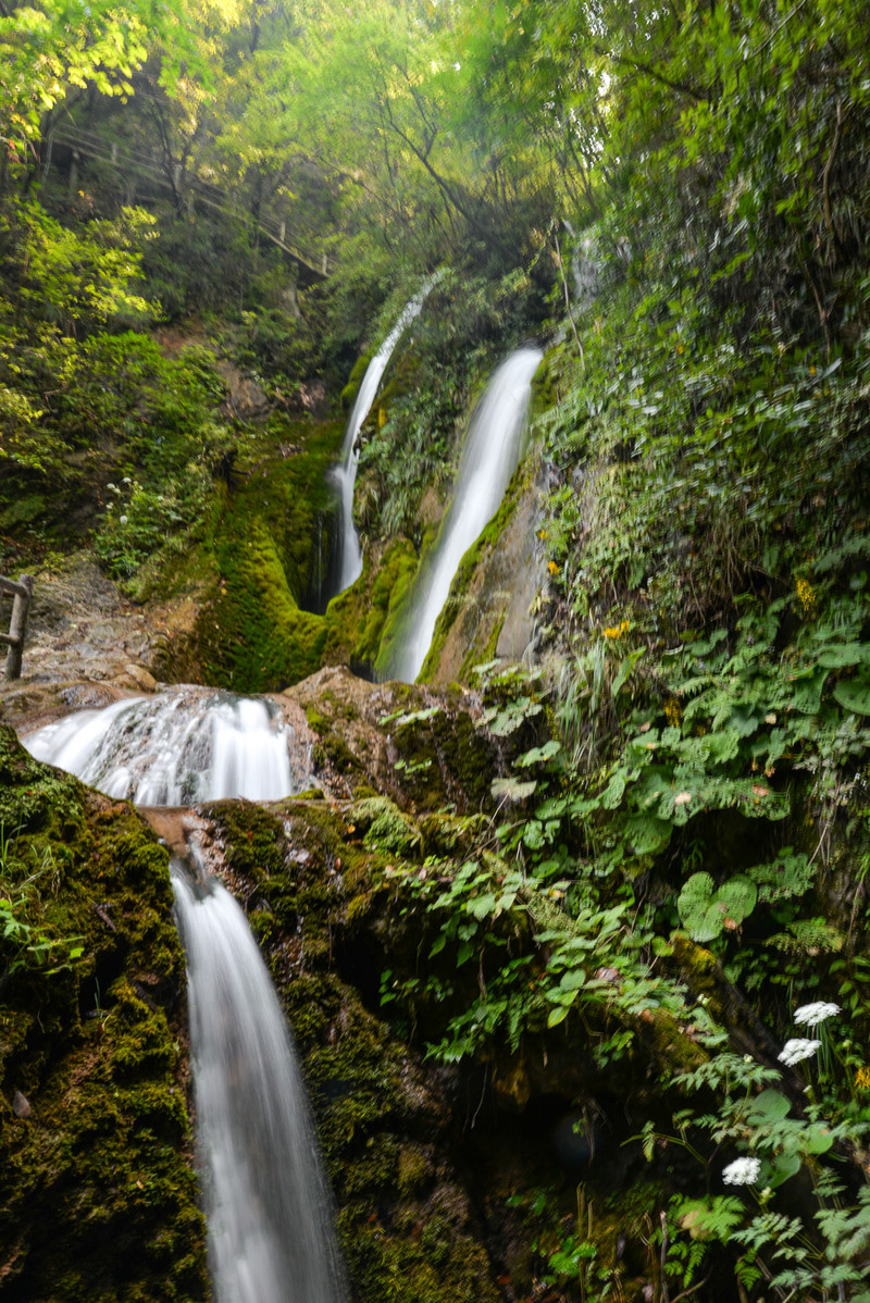 貓貓遊河南 中秋節兩日自駕 洛陽嵩縣天池山 欒川重渡溝親子游