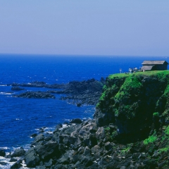 504_济州岛