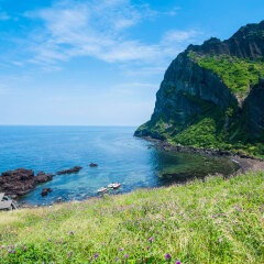 232_济州岛_偶来小路