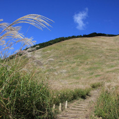 649_奈良_若草山