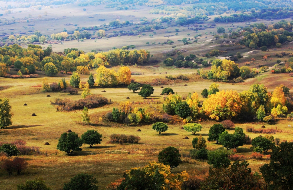  承德-木兰围场火车4日游>我与草原有个约定,坝上草原自由驰骋,七星湖