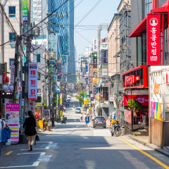 新沙洞林荫路
