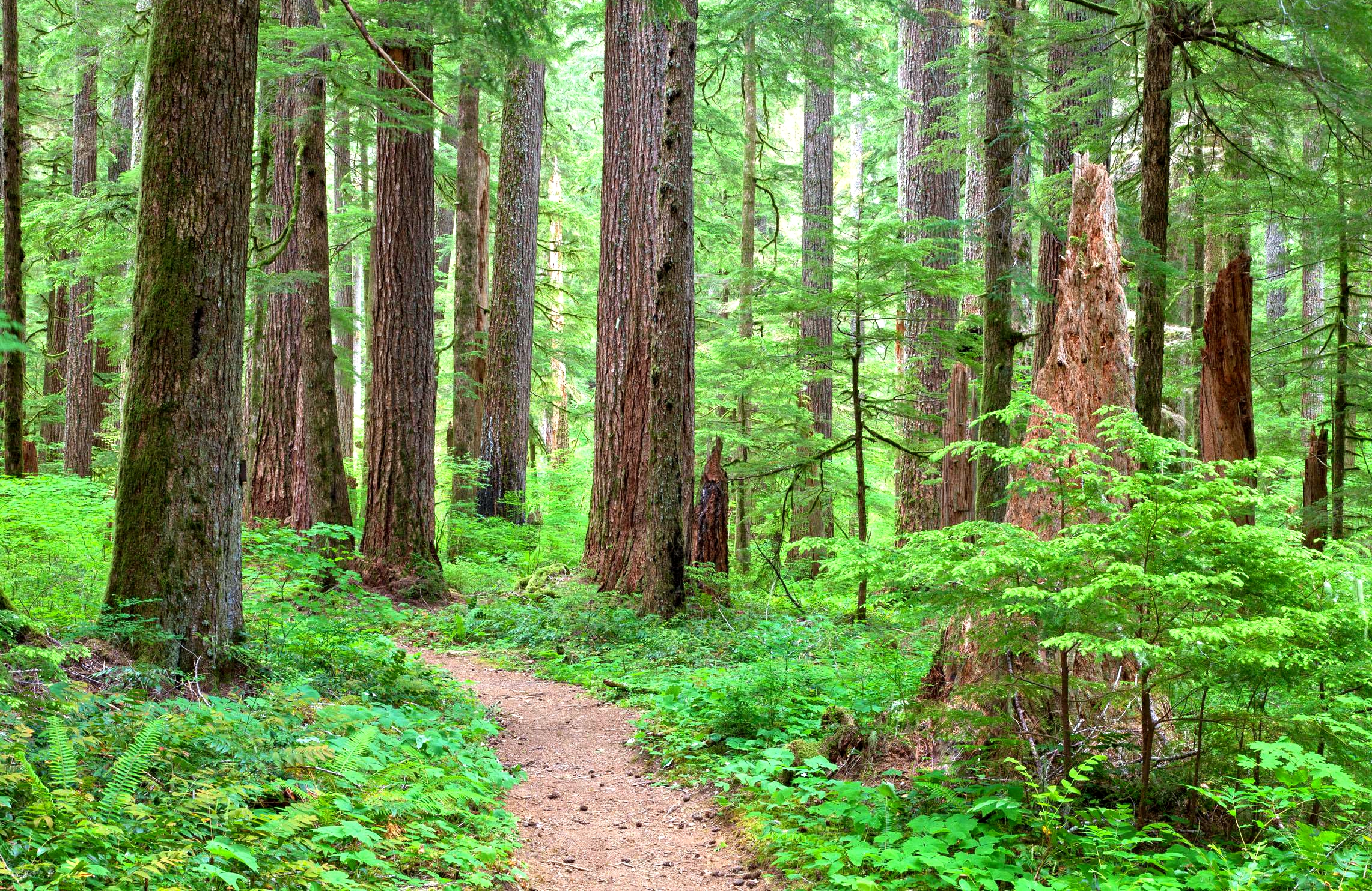 [端午] 海南三亚包车一日游五指山热带雨林风景区包车1日游  >包车
