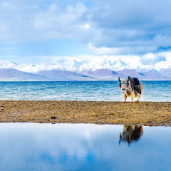 景点模块 
