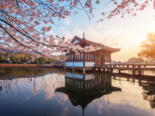 杭州曲院风荷景区