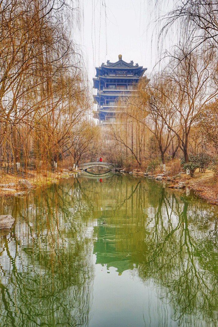 新发现#感受老舍笔下济南的冬天