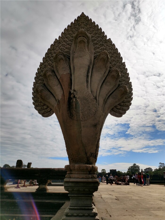 最大的九头naga,在当地蛇的地位就相当于我们国家龙的地位.