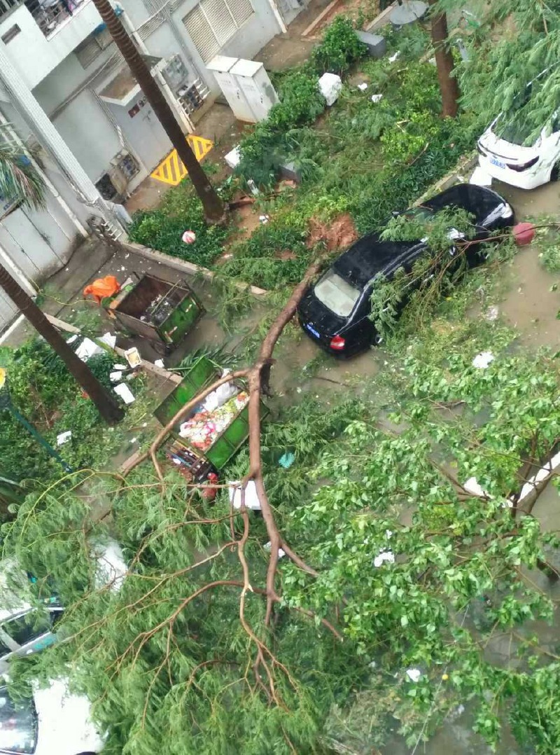 莫兰蒂肆虐下的厦门这个中秋注定难忘