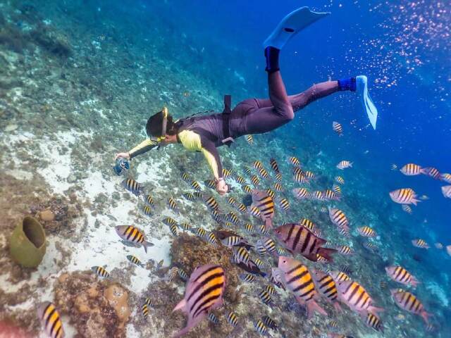  澳大利亚凯恩斯-墨尔本-新西兰南北岛14日游>东航免费联运,米佛,南岛