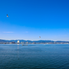小交通模块 