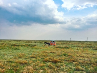 鄂尔多斯大草原